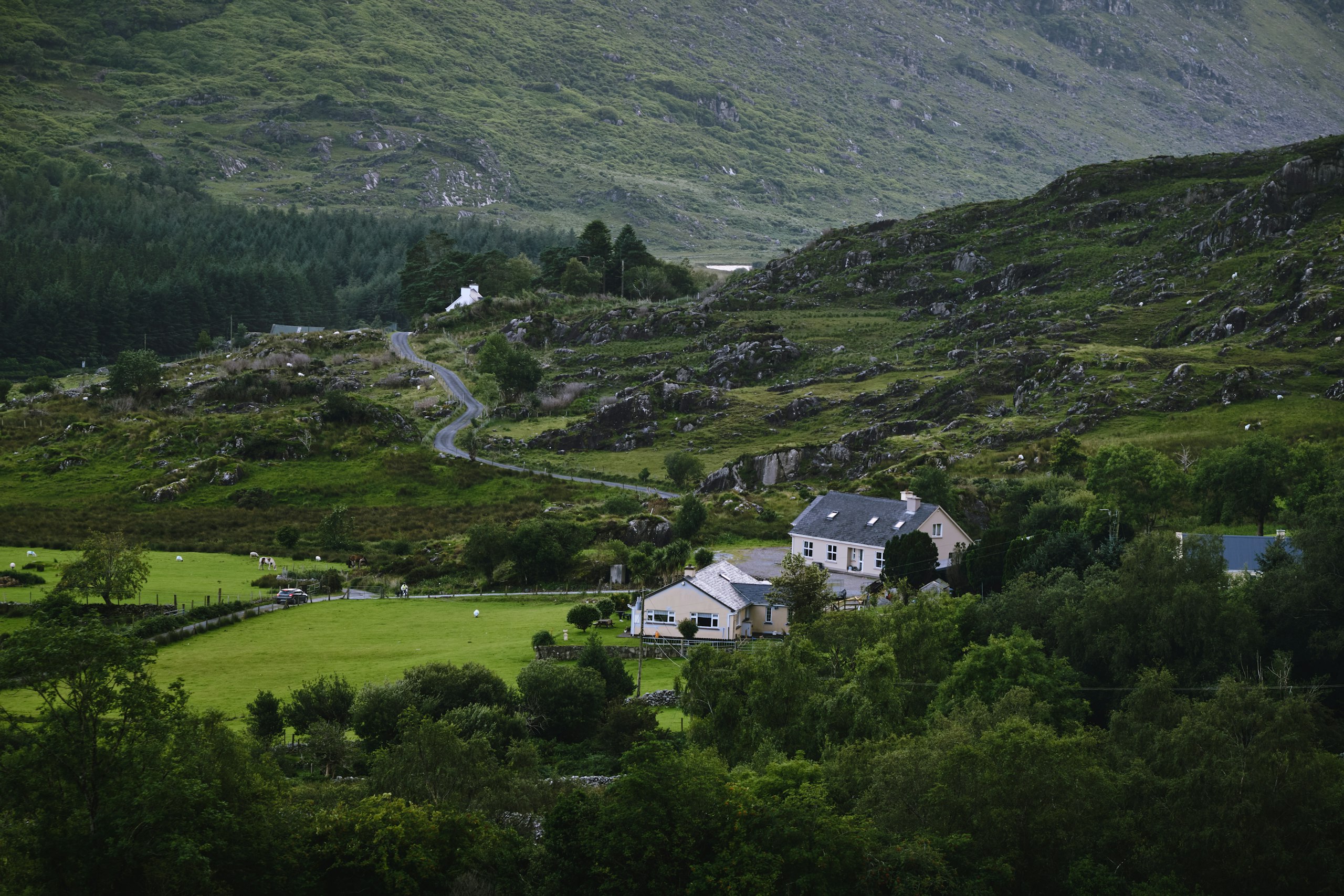 A whitewashed cottage in a lush green Irish valley